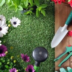 arrosage et jardin