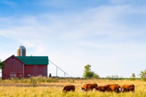 materiel et accessoires de ferme