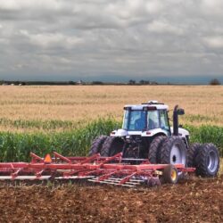 desherbage et entretien agricole