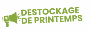 logo destockage printemps